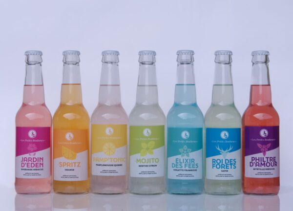 Elixir - pack découverte de 12 x 33cl