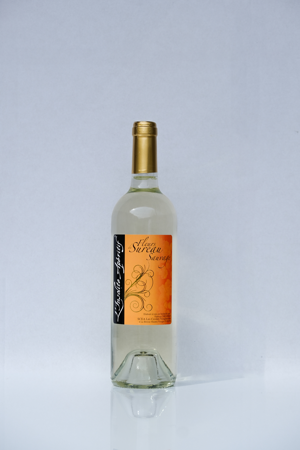 Fleur de sureau sauvage
